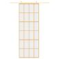 Preview: Schiebetür Golden 76x205 cm ESG-Klarglas und Aluminium