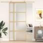 Preview: Schiebetür Golden 90x205 cm Matt ESG-Glas und Aluminium