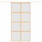 Preview: Schiebetür Golden 102,5x205 cm Matt ESG-Glas und Aluminium