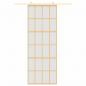 Preview: Schiebetür Golden 76x205 cm Matt ESG-Glas und Aluminium
