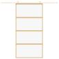 Preview: Schiebetür Golden 102,5x205 cm ESG-Klarglas und Aluminium