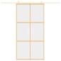 Preview: Schiebetür Golden 102,5x205 cm ESG-Klarglas und Aluminium