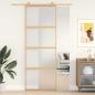 Preview: Schiebetür Golden 76x205 cm Matt ESG-Glas und Aluminium