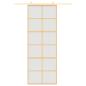 Preview: Schiebetür Golden 76x205 cm Matt ESG-Glas und Aluminium