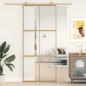 Preview: Schiebetür Golden 90x205 cm ESG-Klarglas und Aluminium