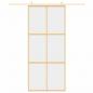 Preview: Schiebetür Golden 90x205 cm ESG-Klarglas und Aluminium