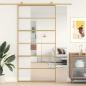 Preview: Schiebetür Golden 102,5x205 cm ESG-Klarglas und Aluminium