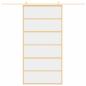 Preview: Schiebetür Golden 102,5x205 cm ESG-Klarglas und Aluminium