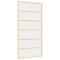 Preview: Schiebetür Golden 102,5x205 cm ESG-Klarglas und Aluminium