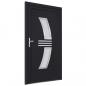 Preview: Haustür Anthrazit 108x208 cm PVC