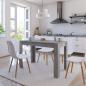 Preview: ARDEBO.de - Esstisch Betongrau 120x60x76 cm Holzwerkstoff