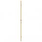 Preview: Innentür Schlank Golden 93x201,5 cm Hartglas und Aluminium