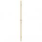 Preview: Innentür Schlank Golden 83x201,5 cm Hartglas und Aluminium
