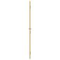 Preview: Innentür Schlank Golden 83x201,5 cm Hartglas und Aluminium