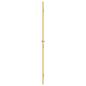 Preview: Innentür Schlank Golden 93x201,5 cm Hartglas und Aluminium
