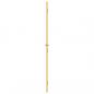 Preview: Innentür Schlank Golden 76x201,5 cm Hartglas und Aluminium