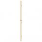 Preview: Innentür Schlank Golden 102,5x201,5 cm Hartglas und Aluminium