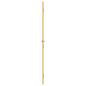 Preview: Innentür Schlank Golden 83x201,5 cm Hartglas und Aluminium