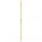 Preview: Innentür Schlank Golden 93x201,5 cm Hartglas und Aluminium