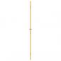 Preview: Innentür Schlank Golden 102,5x201,5 cm Hartglas und Aluminium