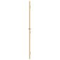 Preview: Innentür Schlank Golden 76x201,5 cm Hartglas und Aluminium