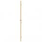Preview: Innentür Schlank Golden 76x201,5 cm Hartglas und Aluminium