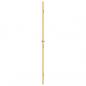 Preview: Innentür Schlank Golden 102,5x201,5 cm Hartglas und Aluminium