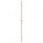 Preview: Innentür Schlank Golden 83x201,5 cm Hartglas und Aluminium