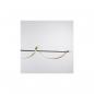 Preview: Paul Neuhaus Q-SWING LED Pendelleuchte, Smart Home, messing, anthrazit (2385-13)