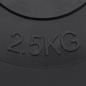 Preview: Hantelscheiben 6 Stk. 30 kg Zement