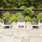 Preview: 4-tlg. Garten-Lounge-Set mit Kissen Kunststoff Weiß