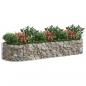 Preview: Gabionen-Hochbeet Verzinktes Eisen 300x100x50 cm