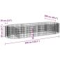 Preview: Gabionen-Hochbeet Verzinktes Eisen 300x100x50 cm