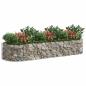 Preview: Gabionen-Hochbeet Verzinktes Eisen 300x100x50 cm