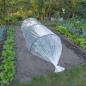 Preview: Nature Pflanzfolie 4x6 m 200µ Transparent
