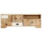 Preview: TV-Schrank 120x30x40 cm Massivholz Mango