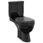 Preview: Toilette mit Spülkasten Schwarz