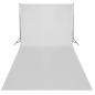 Preview: Fotostudio-Set mit Leuchten, Schirmen, Hintergrund, Reflektor