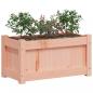 Preview: Pflanzkübel 60x31x31 cm Massivholz Douglasie