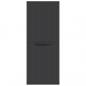 Preview: Gartenschrank Schwarz 65x37x165 cm PP