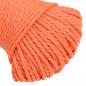 Preview: Arbeitsseil Orange 6 mm 100 m Polypropylen