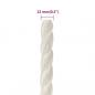 Preview: Arbeitsseil Weiß 12 mm 25 m Polypropylen
