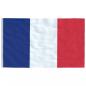 Preview: Flagge Frankreichs mit Mast 5,55 m Aluminium