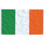Preview: Flagge Irlands mit Mast 5,55 m Aluminium