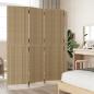 Preview: Paravent 4-tlg. Beige Poly Rattan