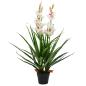Preview: Künstliche Cymbidium Orchideenpflanze mit Topf 100 cm Grün