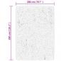Preview: Teppich ARBIZU Indoor und Outdoor Vintage-Design 200x280 cm