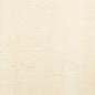 Preview: Teppich HUARTE Kurzflor Weich und Waschbar Creme 60x110 cm