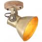 Preview: Wand-/Deckenlampen Industriestil 2 Stk. Messing 20x25 cm E27