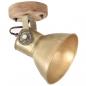 Preview: Wand-/Deckenlampen Industriestil 2 Stk. Messing 20x25 cm E27